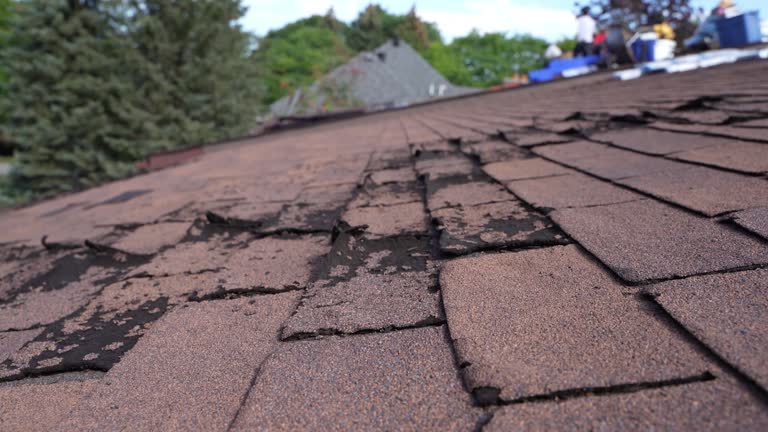 Best Slate Roofing  in Oswego, KS